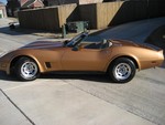 1981 corvette for sale