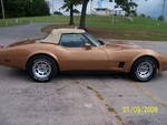 1981 corvette for sale