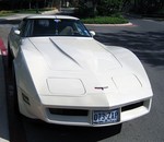 1981 corvette for sale
