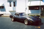 1981 corvette for sale