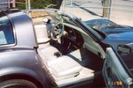 1981 Corvette T-Top For Sale