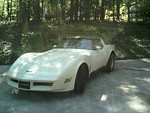 1981 corvette for sale