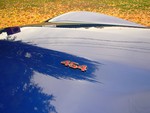 1979 Corvette T-Top For Sale