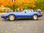 1979 Corvette T-Top For Sale