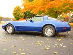 1979 Corvette T-Top For Sale
