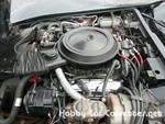 1981 corvette for sale