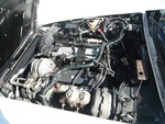 1981 Corvette for sale