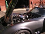 1981 Corvette T-Top For Sale