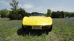 1979 Corvette T-Top For Sale