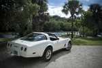 1982 Corvette T-Top For Sale