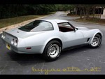 1981 corvette for sale