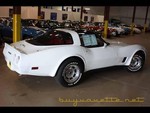 1981 corvette for sale