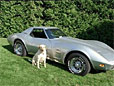 1975 Corvette Convertible For Sale