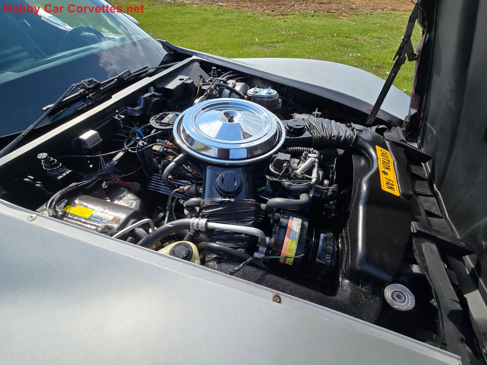 1981 corvette for sale