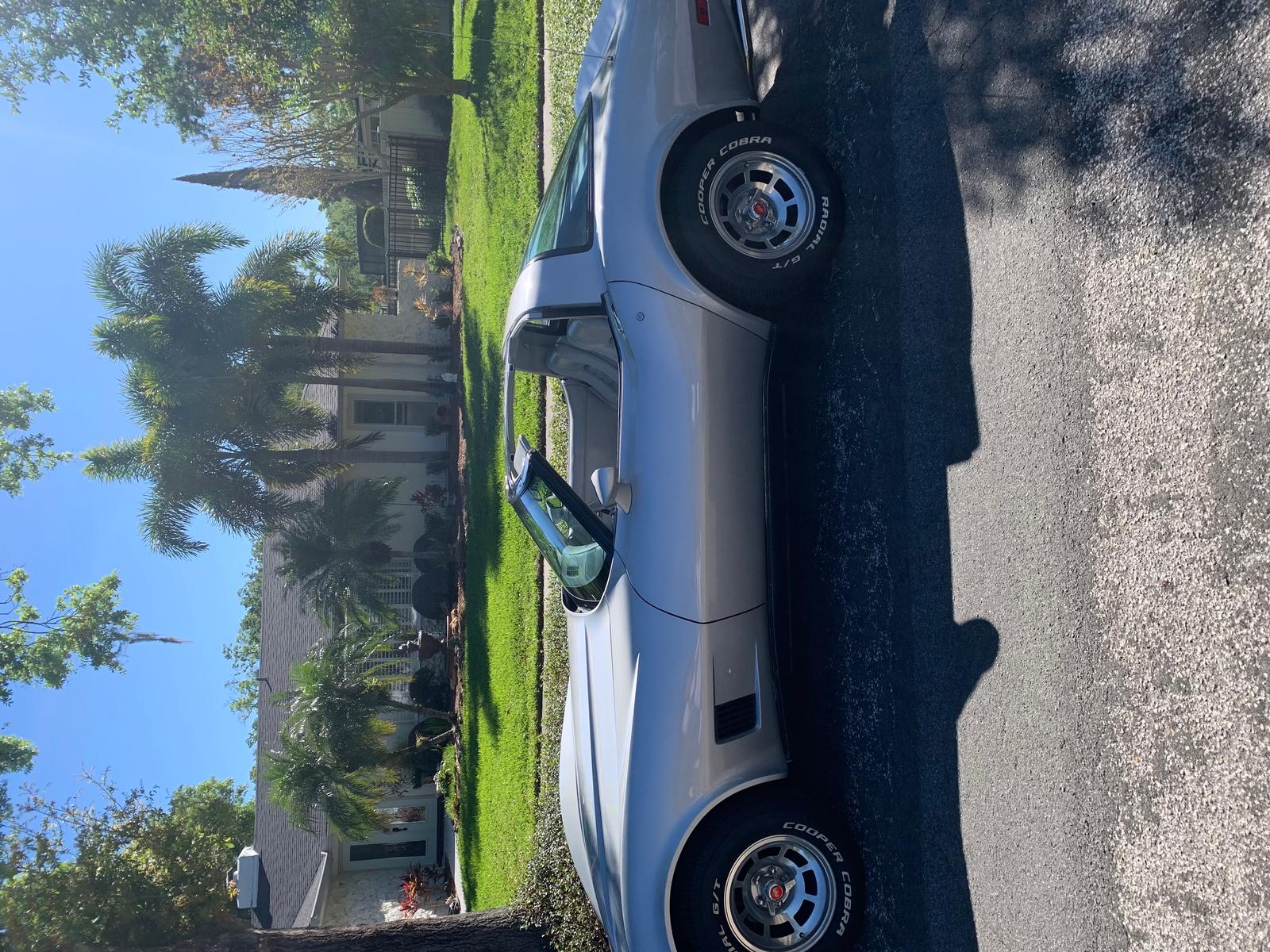 1981 corvette for sale