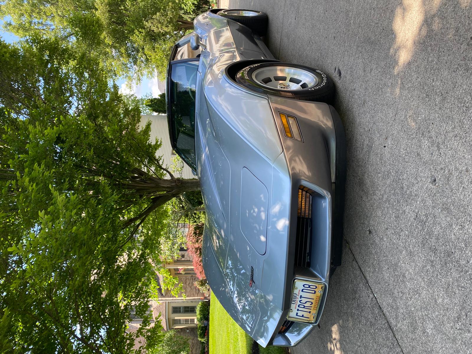 1981 corvette for sale