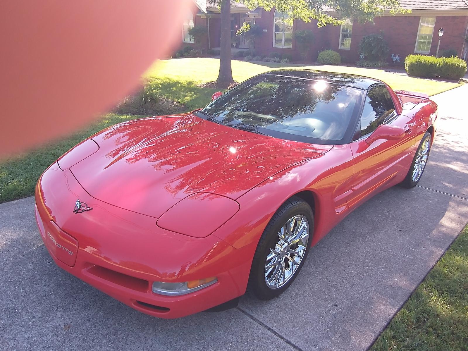 1999 Corvette For Sale Kentucky 1999 Corvette Coupe Corvette for Sale in Kentucky Stingray