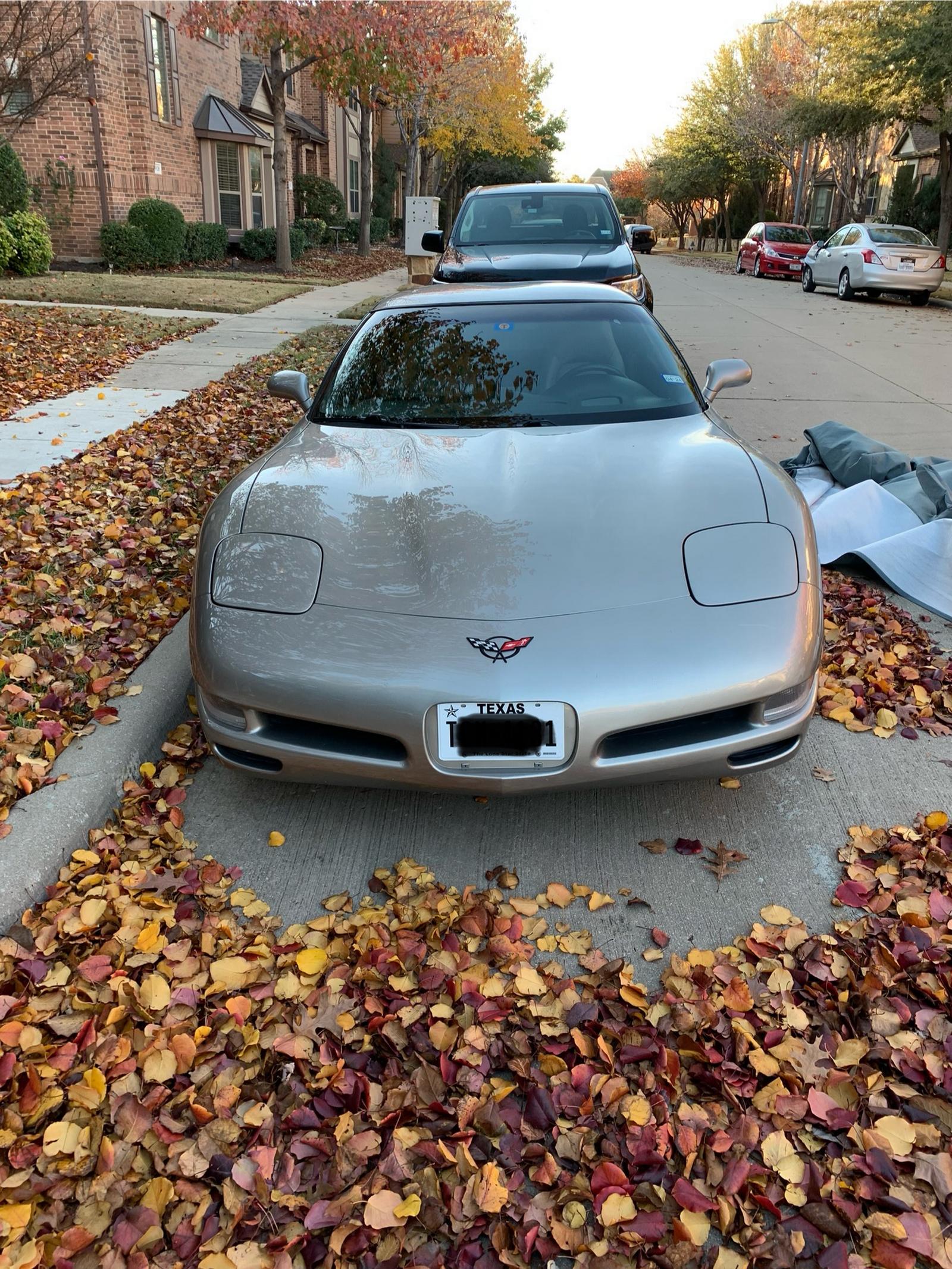 1999 corvette for sale