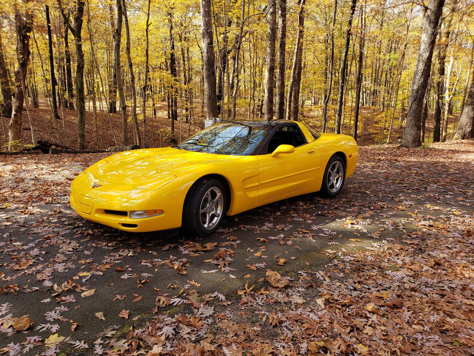 2004 corvette for sale