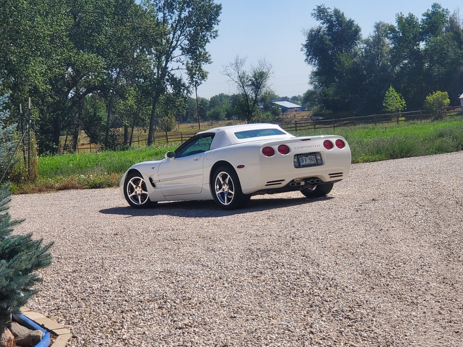 2003 corvette for sale