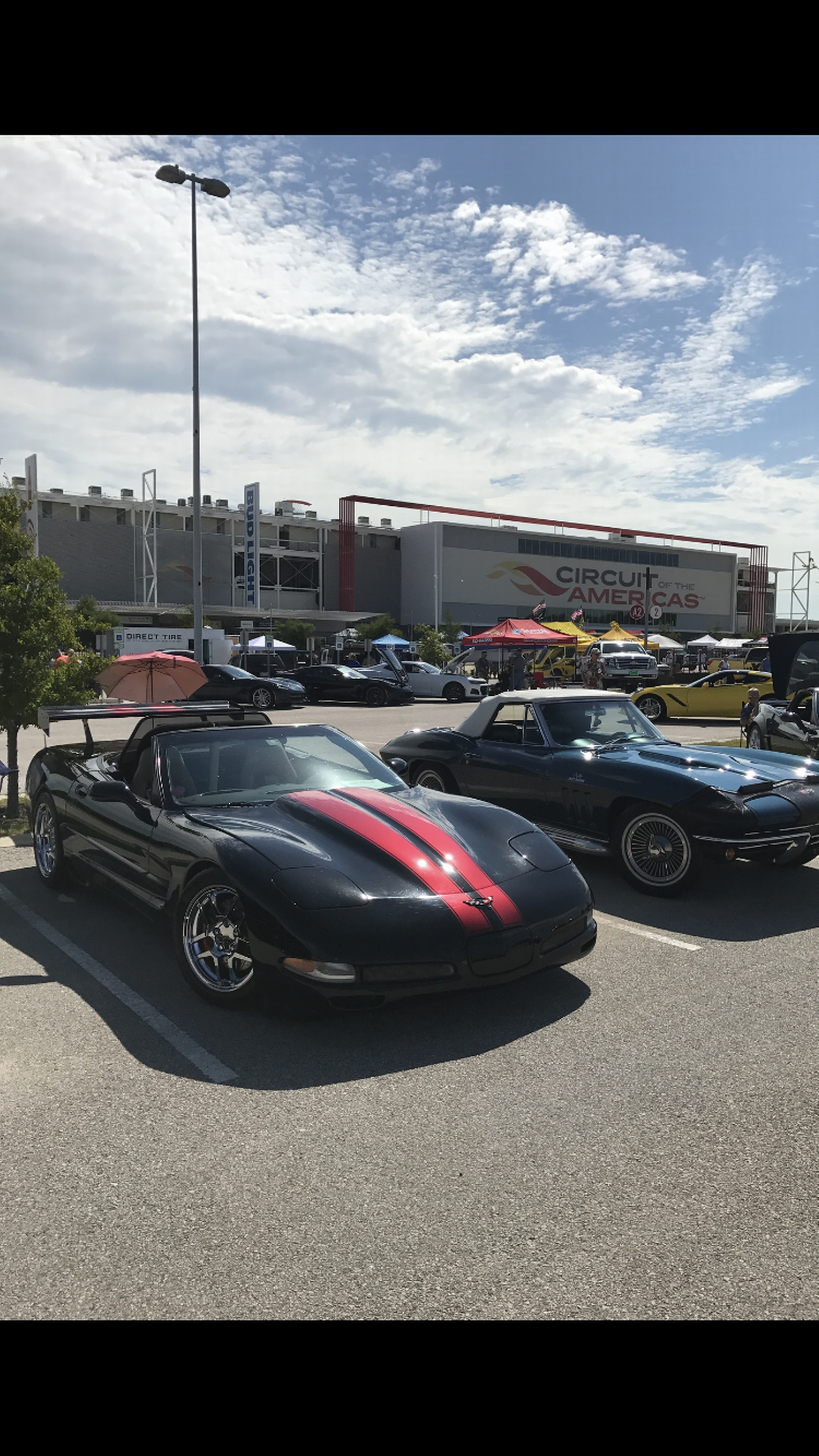 1998 corvette for sale