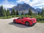 2020 Corvette for sale